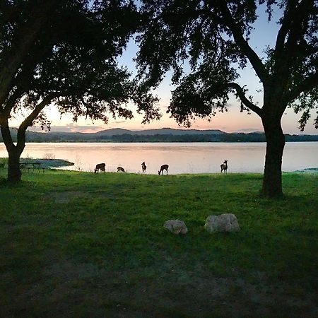 Medina Lake Camping Resort Cabin 3 Lakehills Luaran gambar