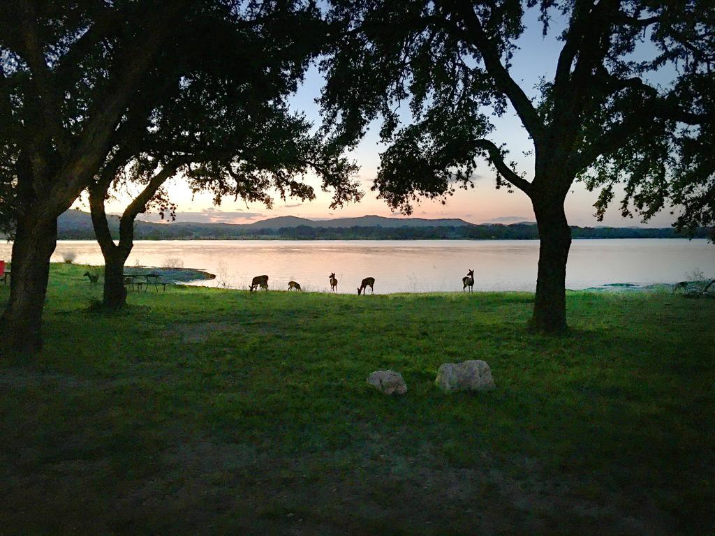 Medina Lake Camping Resort Cabin 3 Lakehills Luaran gambar